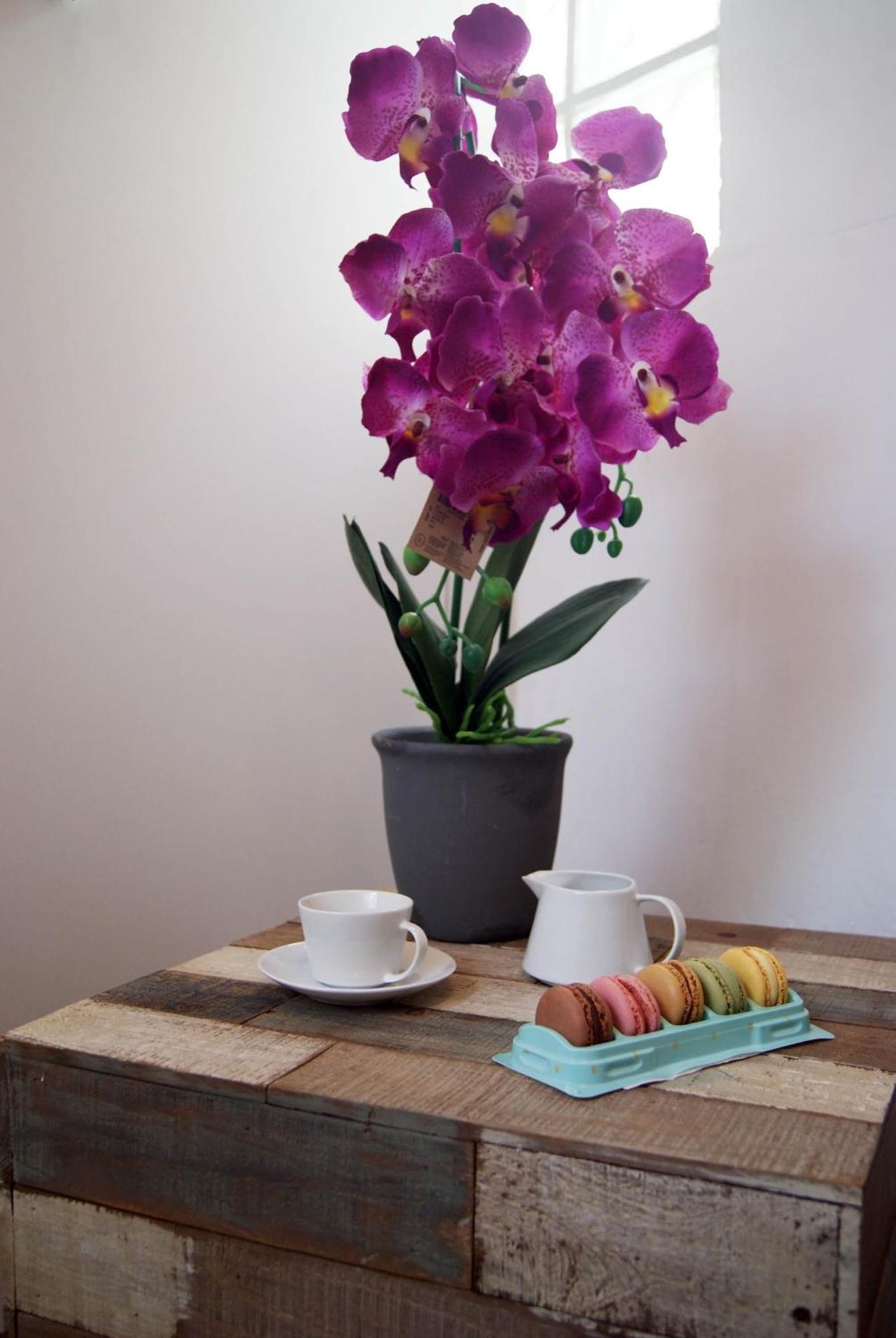 Apartamentos Centricos Barrio Del Carmen バレンシア エクステリア 写真