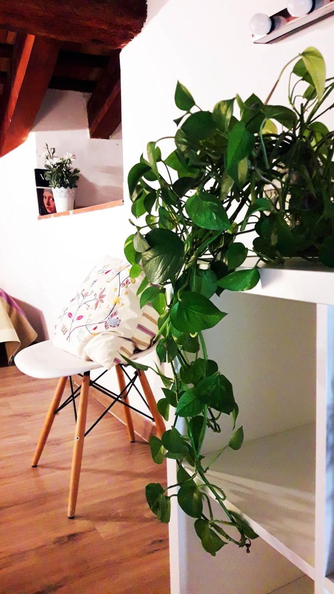 Apartamentos Centricos Barrio Del Carmen バレンシア エクステリア 写真